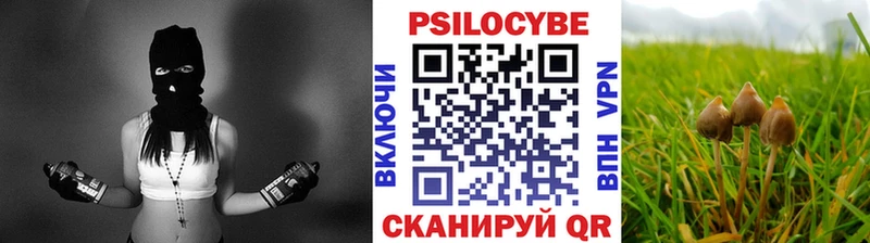 Галлюциногенные грибы Cubensis Купить закладки Гусиноозёрск